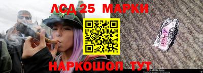 кокс Берёзовский