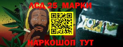 СК Бийск