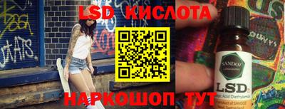 СК Бийск