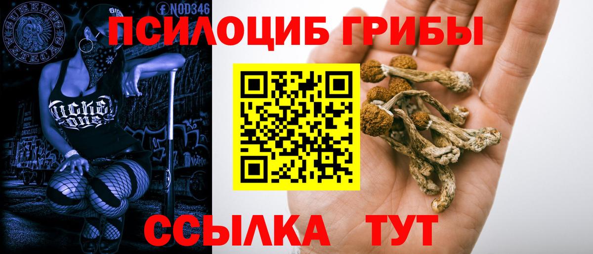 Псилоцибиновые грибы ЛСД  Вход с VPN  Балахна  Галлюциногенные грибы Magic Shrooms 